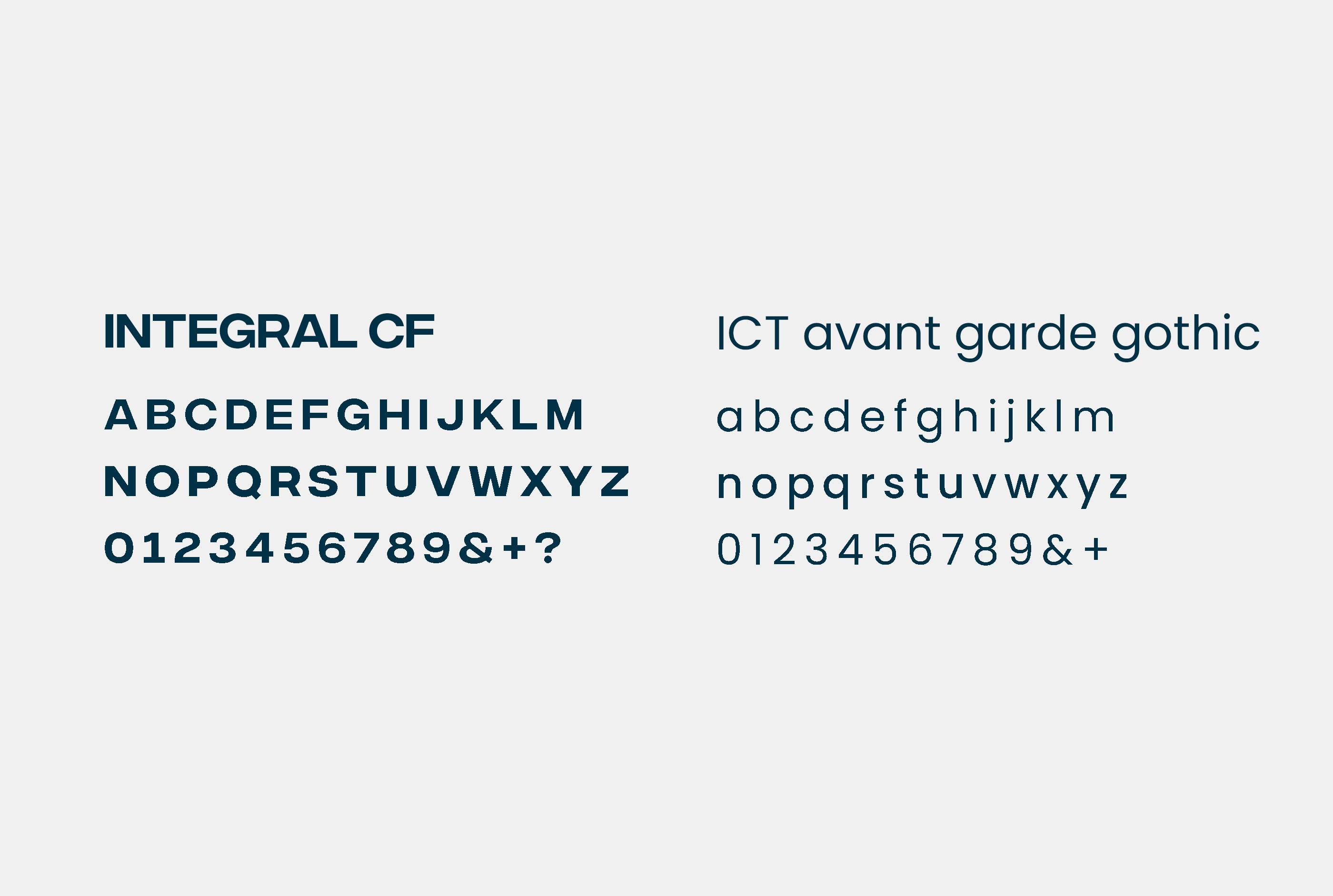 Wordpress-expert-woocommerce-specialist-webdesign-conversie-seo-hosting-Fonts-Champion-website