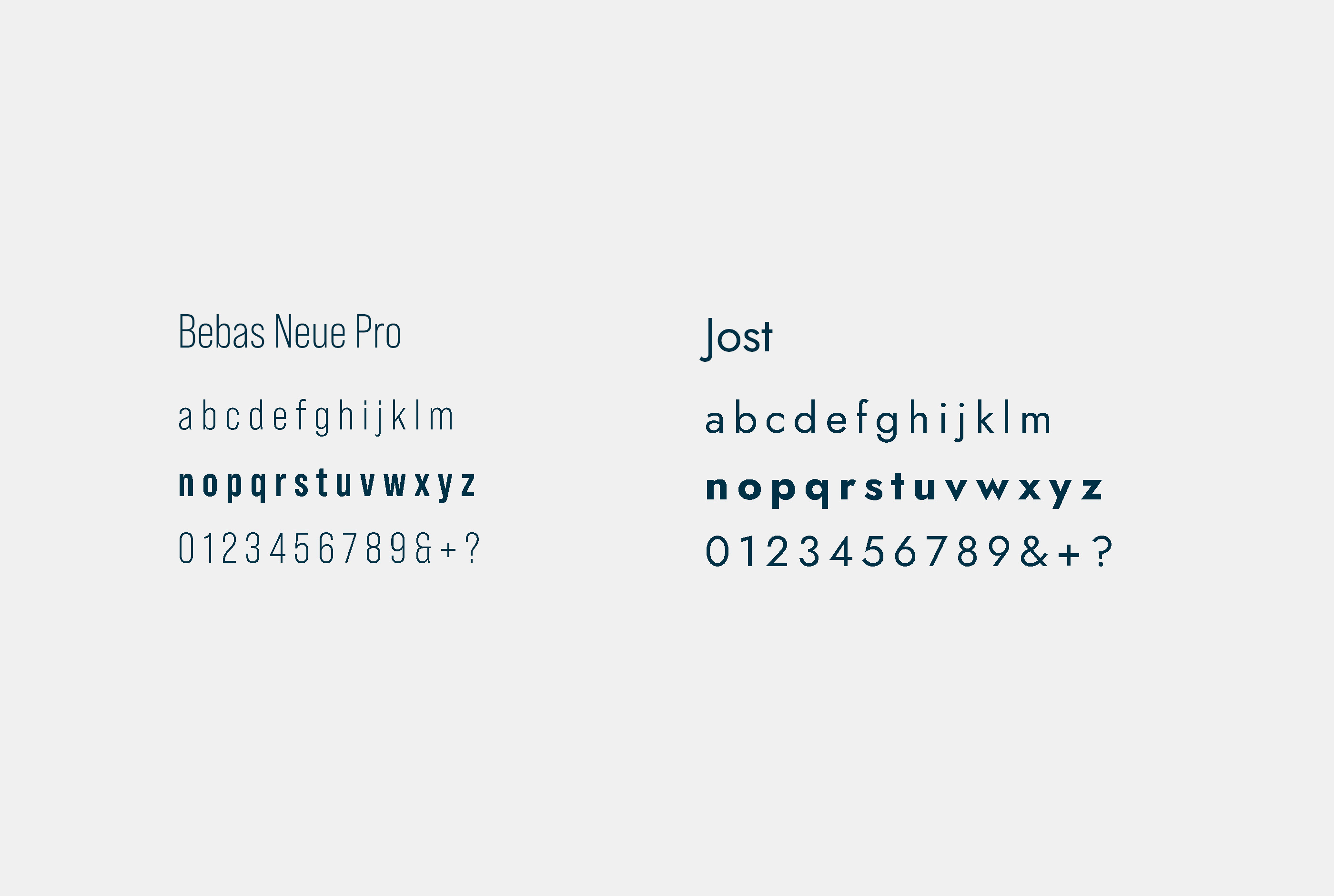 Wordpress-expert-woocommerce-specialist-webdesign-conversie-seo-hosting-Fonts-G'nger-website