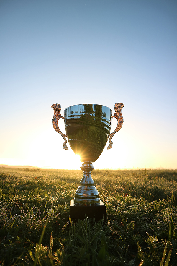 Wordpress-expert-woocommerce-specialist-webdesign-conversie-seo-hosting-kopiëren-min