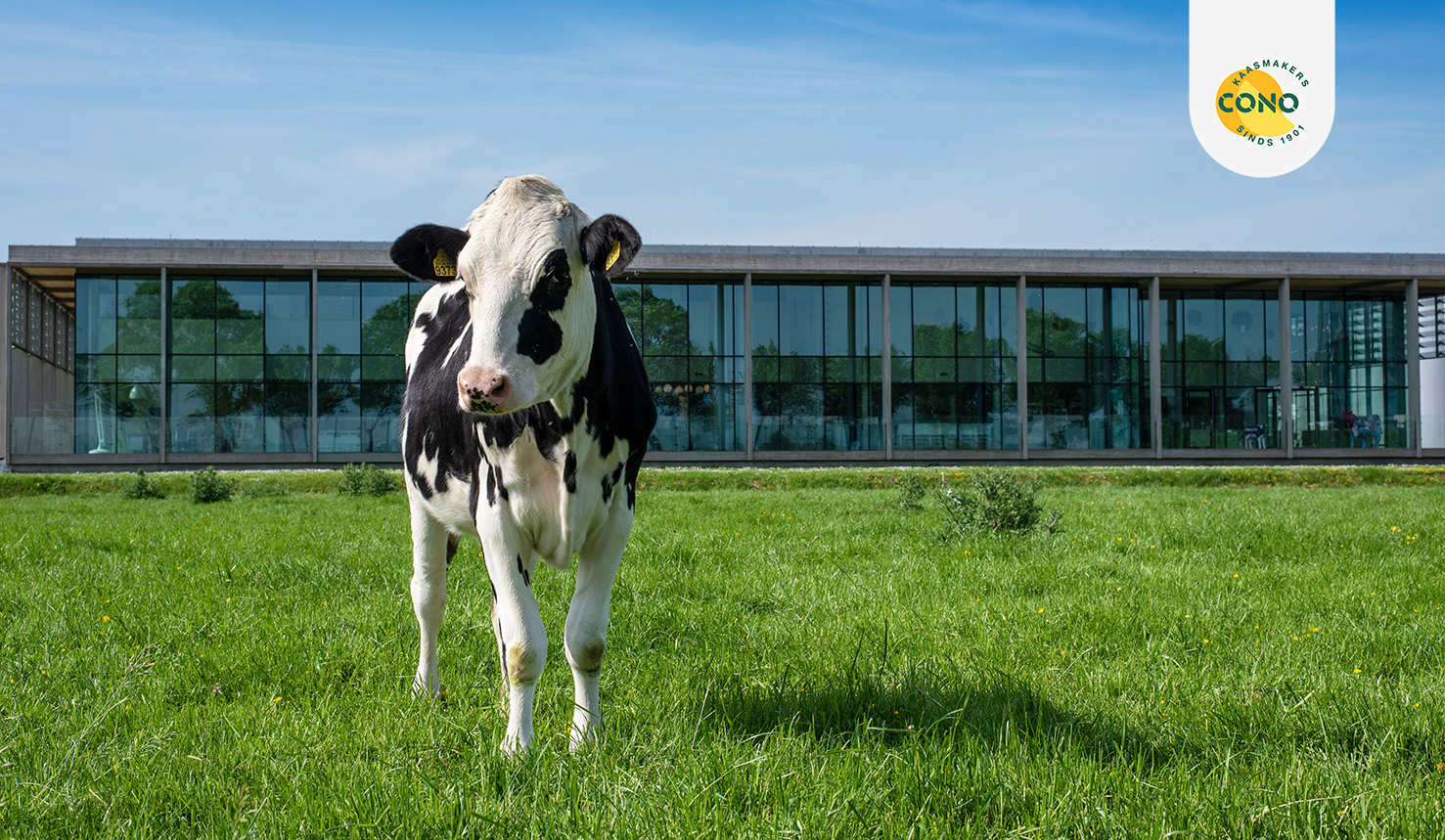 Wordpress-expert-woocommerce-specialist-webdesign-conversie-seo-hosting-Pagina 38- verkleind